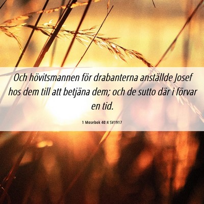 Picture 06 - 1 Mosebok 40:4 SV1917 - Och hövitsmannen för drabanterna anställde - Bible Verse Picture