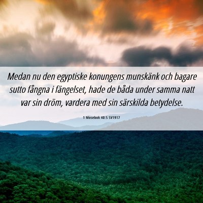 Picture 06 - 1 Mosebok 40:5 SV1917 - Medan nu den egyptiske konungens munskänk och - Bible Verse Picture