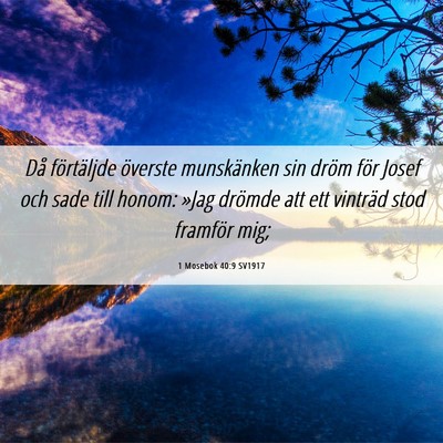 Picture 06 - 1 Mosebok 40:9 SV1917 - Då förtäljde överste munskänken sin dröm - Bible Verse Picture