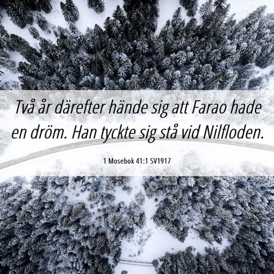 Picture 06 - 1 Mosebok 41:1 SV1917 - Två år därefter hände sig att Farao hade en - Bible Verse Picture