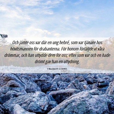 Picture 06 - 1 Mosebok 41:12 SV1917 - Och jämte oss var där en ung hebré, som var - Bible Verse Picture