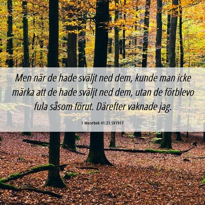 Picture 06 - 1 Mosebok 41:21 SV1917 - Men när de hade sväljt ned dem, kunde man icke - Bible Verse Picture