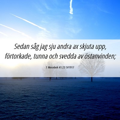 Picture 06 - 1 Mosebok 41:23 SV1917 - Sedan såg jag sju andra ax skjuta upp, - Bible Verse Picture
