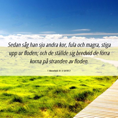 Picture 06 - 1 Mosebok 41:3 SV1917 - Sedan såg han sju andra kor, fula och magra, - Bible Verse Picture