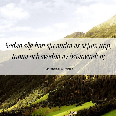 Picture 06 - 1 Mosebok 41:6 SV1917 - Sedan såg han sju andra ax skjuta upp, tunna och - Bible Verse Picture
