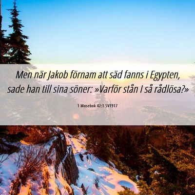 Picture 06 - 1 Mosebok 42:1 SV1917 - Men när Jakob förnam att säd fanns i Egypten, - Bible Verse Picture