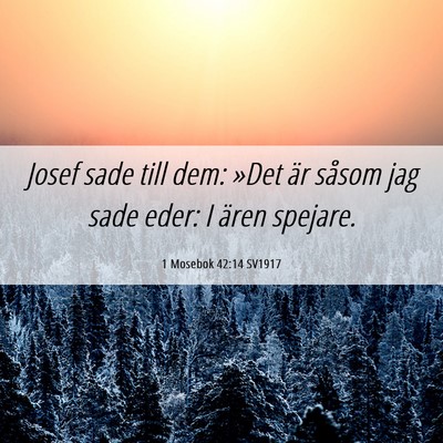 Picture 06 - 1 Mosebok 42:14 SV1917 - Josef sade till dem: »Det är såsom jag sade - Bible Verse Picture