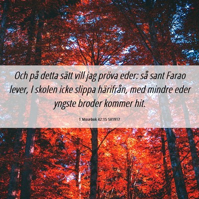Picture 06 - 1 Mosebok 42:15 SV1917 - Och på detta sätt vill jag pröva eder: så - Bible Verse Picture