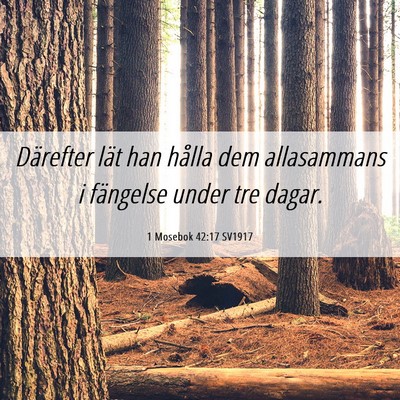 Picture 06 - 1 Mosebok 42:17 SV1917 - Därefter lät han hålla dem allasammans i - Bible Verse Picture