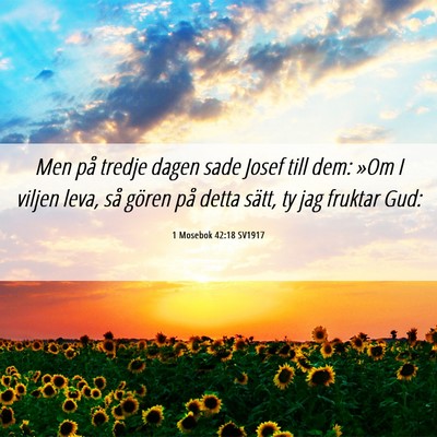 Picture 06 - 1 Mosebok 42:18 SV1917 - Men på tredje dagen sade Josef till dem: »Om I - Bible Verse Picture