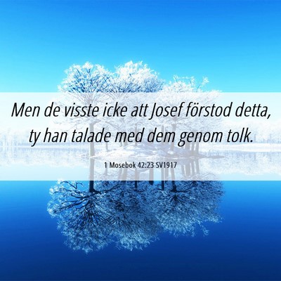 Picture 06 - 1 Mosebok 42:23 SV1917 - Men de visste icke att Josef förstod detta, ty - Bible Verse Picture