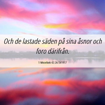 Picture 06 - 1 Mosebok 42:26 SV1917 - Och de lastade säden på sina åsnor och foro - Bible Verse Picture