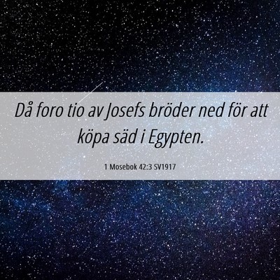Picture 06 - 1 Mosebok 42:3 SV1917 - Då foro tio av Josefs bröder ned för att köpa - Bible Verse Picture