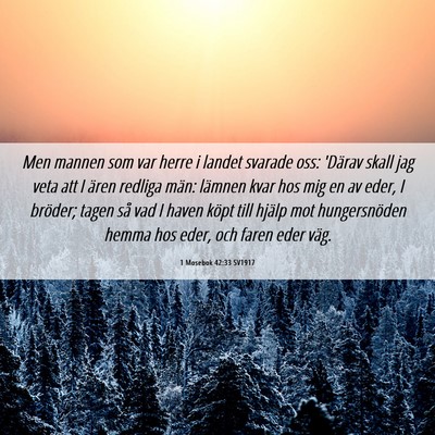 Picture 06 - 1 Mosebok 42:33 SV1917 - Men mannen som var herre i landet svarade oss: - Bible Verse Picture