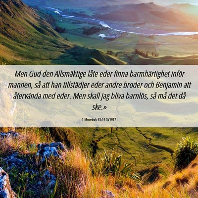Picture 06 - 1 Mosebok 43:14 SV1917 - Men Gud den Allsmäktige låte eder finna - Bible Verse Picture
