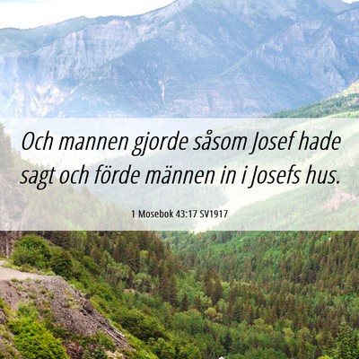 Picture 06 - 1 Mosebok 43:17 SV1917 - Och mannen gjorde såsom Josef hade sagt och - Bible Verse Picture