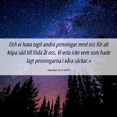 Picture 06 - 1 Mosebok 43:22 SV1917 - Och vi hava tagit andra penningar med oss för - Bible Verse Picture