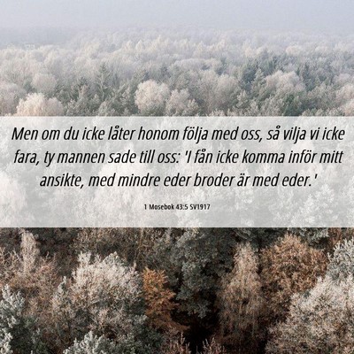 Picture 06 - 1 Mosebok 43:5 SV1917 - Men om du icke låter honom följa med oss, så - Bible Verse Picture