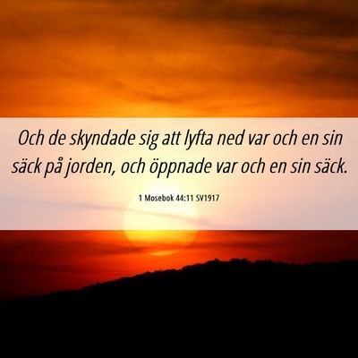 Picture 06 - 1 Mosebok 44:11 SV1917 - Och de skyndade sig att lyfta ned var och en sin - Bible Verse Picture