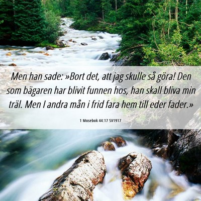 Picture 06 - 1 Mosebok 44:17 SV1917 - Men han sade: »Bort det, att jag skulle så - Bible Verse Picture