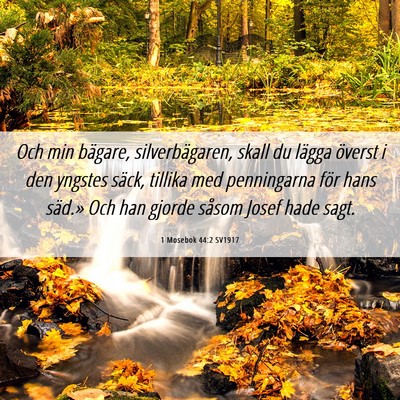 Picture 06 - 1 Mosebok 44:2 SV1917 - Och min bägare, silverbägaren, skall du lägga - Bible Verse Picture