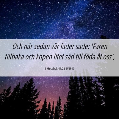 Picture 06 - 1 Mosebok 44:25 SV1917 - Och när sedan vår fader sade: 'Faren tillbaka - Bible Verse Picture