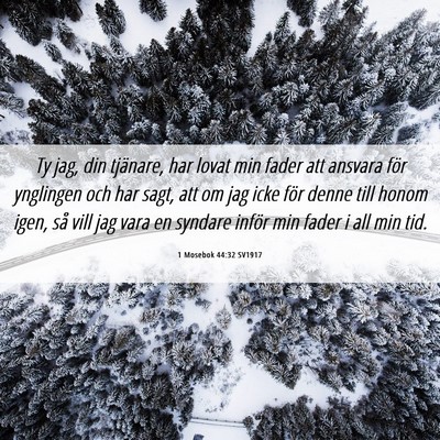 Picture 06 - 1 Mosebok 44:32 SV1917 - Ty jag, din tjänare, har lovat min fader att - Bible Verse Picture