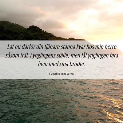 Picture 06 - 1 Mosebok 44:33 SV1917 - Låt nu därför din tjänare stanna kvar hos min - Bible Verse Picture