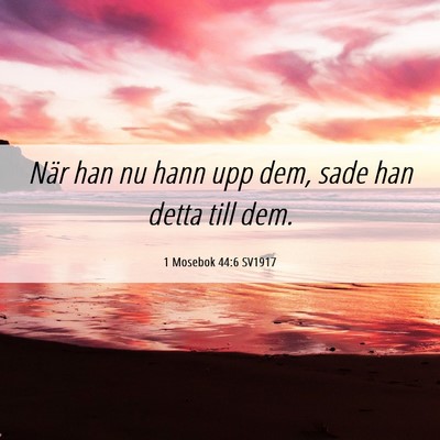 Picture 06 - 1 Mosebok 44:6 SV1917 - När han nu hann upp dem, sade han detta till - Bible Verse Picture