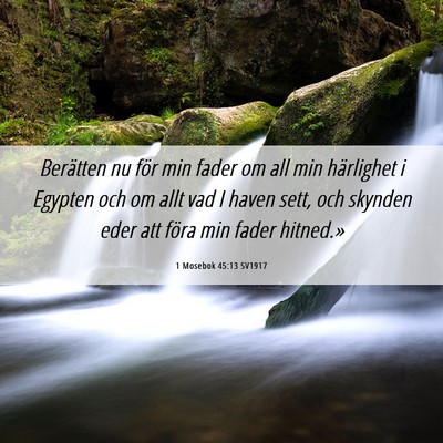 Picture 06 - 1 Mosebok 45:13 SV1917 - Berätten nu för min fader om all min härlighet - Bible Verse Picture