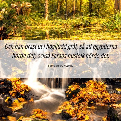 Picture 06 - 1 Mosebok 45:2 SV1917 - Och han brast ut i högljudd gråt, så att - Bible Verse Picture