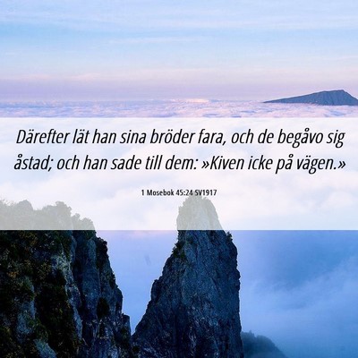 Picture 06 - 1 Mosebok 45:24 SV1917 - Därefter lät han sina bröder fara, och de - Bible Verse Picture