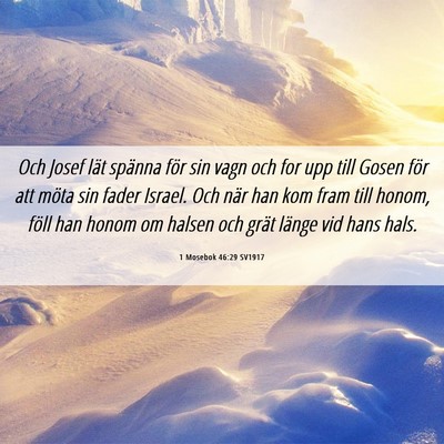 Picture 06 - 1 Mosebok 46:29 SV1917 - Och Josef lät spänna för sin vagn och for upp - Bible Verse Picture