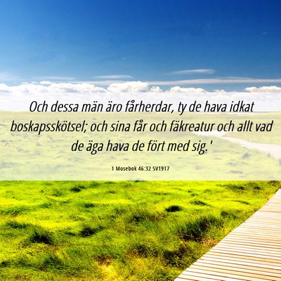 Picture 06 - 1 Mosebok 46:32 SV1917 - Och dessa män äro fårherdar, ty de hava idkat - Bible Verse Picture