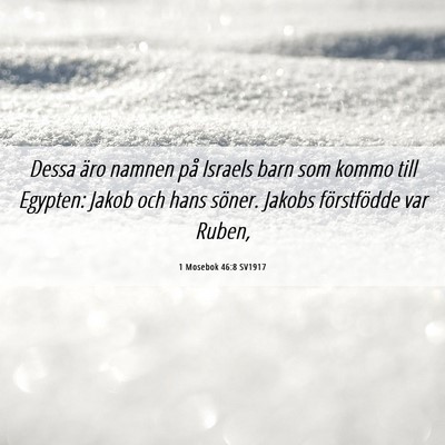 Picture 06 - 1 Mosebok 46:8 SV1917 - Dessa äro namnen på Israels barn som kommo till - Bible Verse Picture