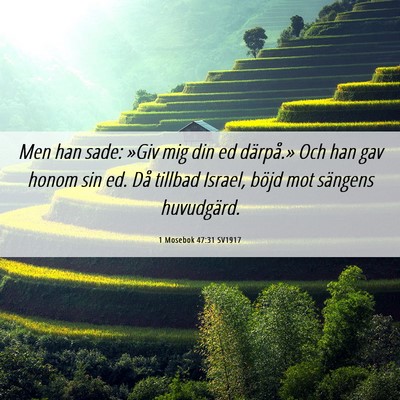 Picture 06 - 1 Mosebok 47:31 SV1917 - Men han sade: »Giv mig din ed därpå.» Och han - Bible Verse Picture