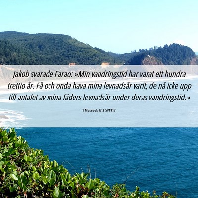 Picture 06 - 1 Mosebok 47:9 SV1917 - Jakob svarade Farao: »Min vandringstid har varat - Bible Verse Picture