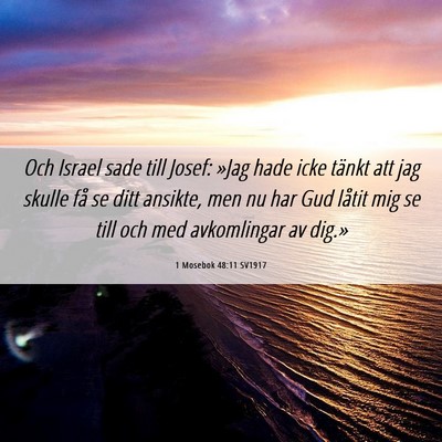 Picture 06 - 1 Mosebok 48:11 SV1917 - Och Israel sade till Josef: »Jag hade icke - Bible Verse Picture