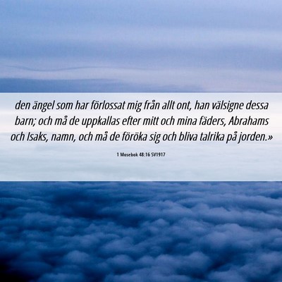 Picture 06 - 1 Mosebok 48:16 SV1917 - den ängel som har förlossat mig från allt ont, - Bible Verse Picture