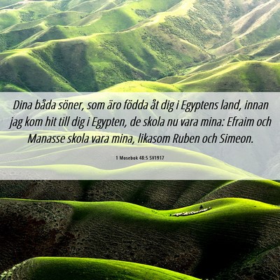 Picture 06 - 1 Mosebok 48:5 SV1917 - Dina båda söner, som äro födda åt dig i - Bible Verse Picture
