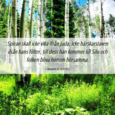 Picture 06 - 1 Mosebok 49:10 SV1917 - Spiran skall icke vika ifrån Juda, icke - Bible Verse Picture