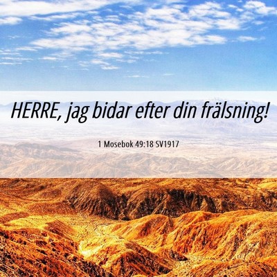 Picture 06 - 1 Mosebok 49:18 SV1917 - HERRE, jag bidar efter din - Bible Verse Picture