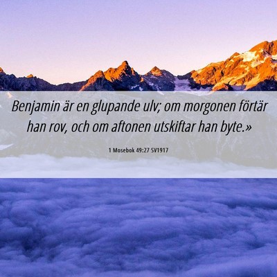 Picture 06 - 1 Mosebok 49:27 SV1917 - Benjamin är en glupande ulv; om morgonen - Bible Verse Picture