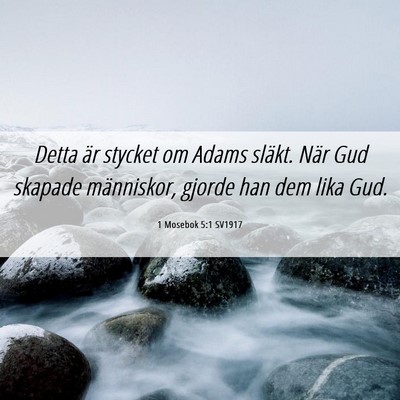 Picture 06 - 1 Mosebok 5:1 SV1917 - Detta är stycket om Adams släkt. När Gud - Bible Verse Picture