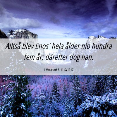 Picture 06 - 1 Mosebok 5:11 SV1917 - Alltså blev Enos' hela ålder nio hundra fem - Bible Verse Picture