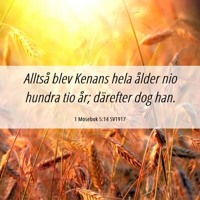 Picture 06 - 1 Mosebok 5:14 SV1917 - Alltså blev Kenans hela ålder nio hundra tio - Bible Verse Picture