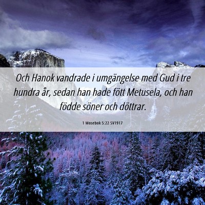 Picture 06 - 1 Mosebok 5:22 SV1917 - Och Hanok vandrade i umgängelse med Gud i tre - Bible Verse Picture