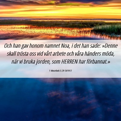 Picture 06 - 1 Mosebok 5:29 SV1917 - Och han gav honom namnet Noa, i det han sade: - Bible Verse Picture