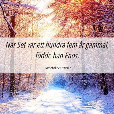 Picture 06 - 1 Mosebok 5:6 SV1917 - När Set var ett hundra fem år gammal, födde - Bible Verse Picture