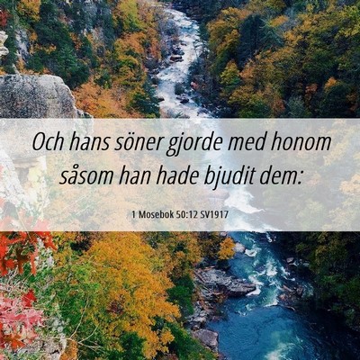 Picture 06 - 1 Mosebok 50:12 SV1917 - Och hans söner gjorde med honom såsom han hade - Bible Verse Picture